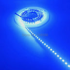 4mm PCB 2835 LED Strip Light 12V Super Bright 3528 120LED/m 5m 10m 15m 20m 50m Flexible LED Tape Lights Warm Cold/ Natural White