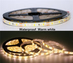 5M/Pack SMD 2835 / 3528 60Leds/m 120Leds/m DC 12V 300LEDs 600LEDs IP20 / IP65 Waterproof White / Warm White LED Strip Light