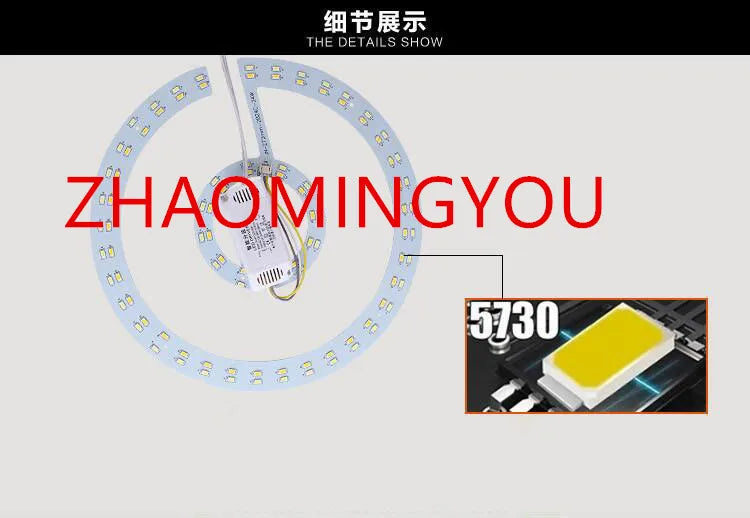 6W 12W 15W 18W 24W 36W 80W 100W LED Ring PANEL Circle Light AC220V SMD 5730 LED Round Ceiling Board the Circular Lamp Board