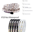 5M 300LEDs Waterproof RGB LED Strip 5050 DC12V 60LEDs/M Flexible Light Belt Led Ribbon Tape Home Decoration 24V RGBW Lamp Strips