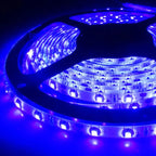 5M 2835 3528 SMD 60LED/M Waterproof UV Ultraviolet LED Strip, DC12V Or 5V 395NM-405NM 300LEDs Flexible LED Strip Light