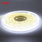 5M 12V 120LEDs/m SMD 3528 LED Strip Light IP65 Waterproof Flexible Tape Lamp Red Green Blue Yellow White Orange Purple LED Light