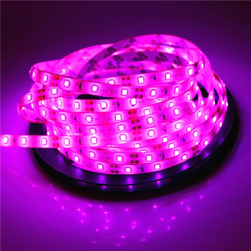 2835 SMD LED Strip Light DC12V 5M 300LEDs Flexible Ribbon Tape Lighting White Warm White Red Green Blue Yellow Pink RGB