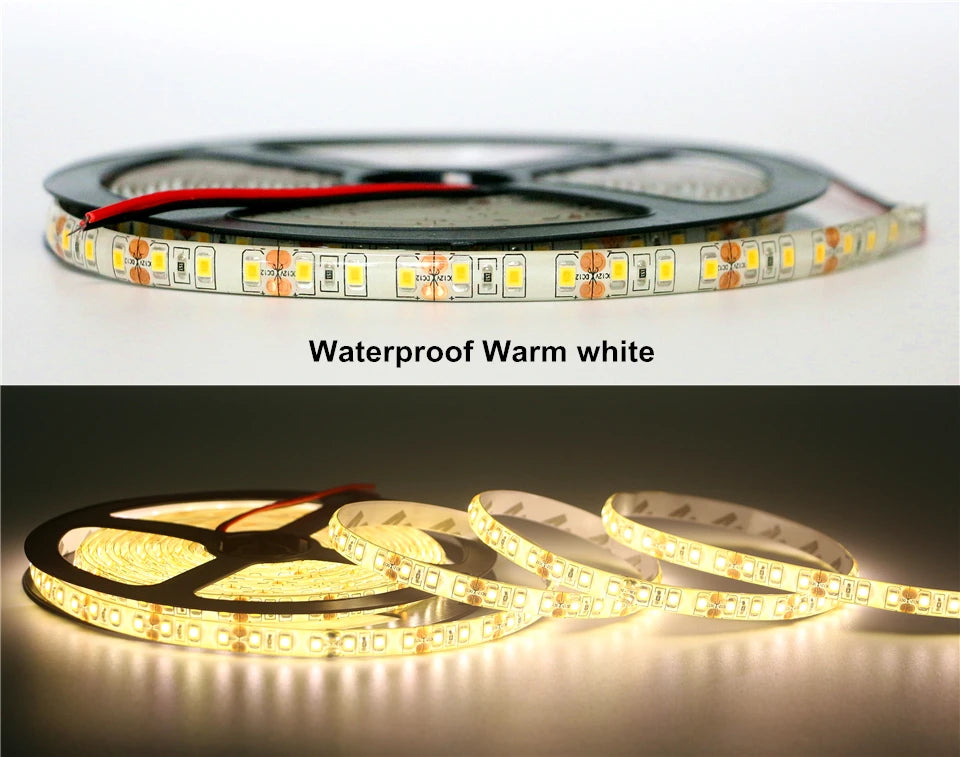 5M/Pack SMD 2835 / 3528 60Leds/m 120Leds/m DC 12V 300LEDs 600LEDs IP20 / IP65 Waterproof White / Warm White LED Strip Light