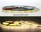 5M/Pack SMD 2835 / 3528 60Leds/m 120Leds/m DC 12V 300LEDs 600LEDs IP20 / IP65 Waterproof White / Warm White LED Strip Light