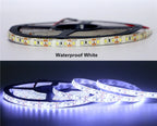 5M/Pack SMD 2835 / 3528 60Leds/m 120Leds/m DC 12V 300LEDs 600LEDs IP20 / IP65 Waterproof White / Warm White LED Strip Light