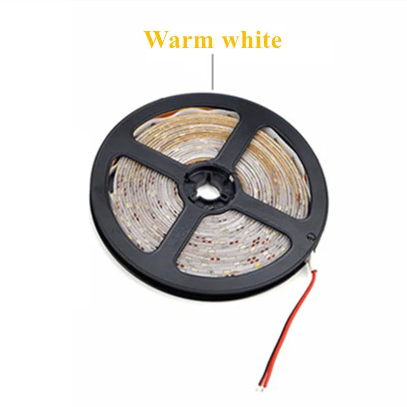20 Pieces DC12V SMD 2835 3528 5m 270 300 LED IP65 Waterproof Epoxy LED Strip string Flexible led RGB Strip tape light lighting