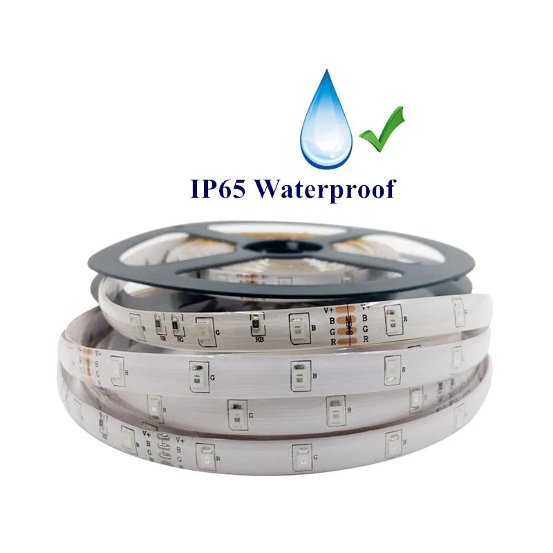 20 Pieces DC12V SMD 2835 3528 5m 270 300 LED IP65 Waterproof Epoxy LED Strip string Flexible led RGB Strip tape light lighting