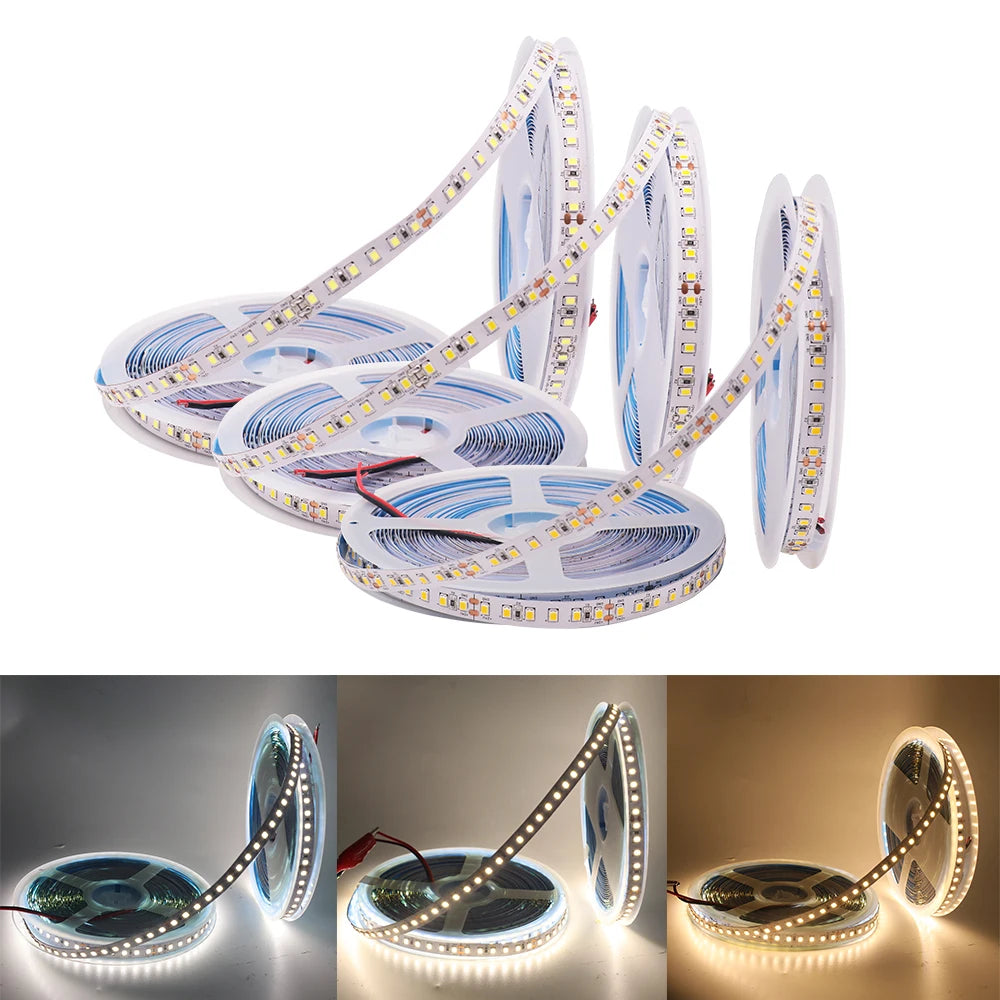 5M LED Strip Light DC 12V 24V 2835 Flexible Ribbon Diode Light 60/120/240/480 LED Stripe Warm Natural Cold White Luces Led Tape