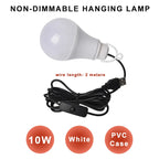ZHMZH USB LED Bulb Stepless Dimming Brightness Three Color Switch Dimmable Hanging Lamp Light Bulb For Adapter Power Bank 10W