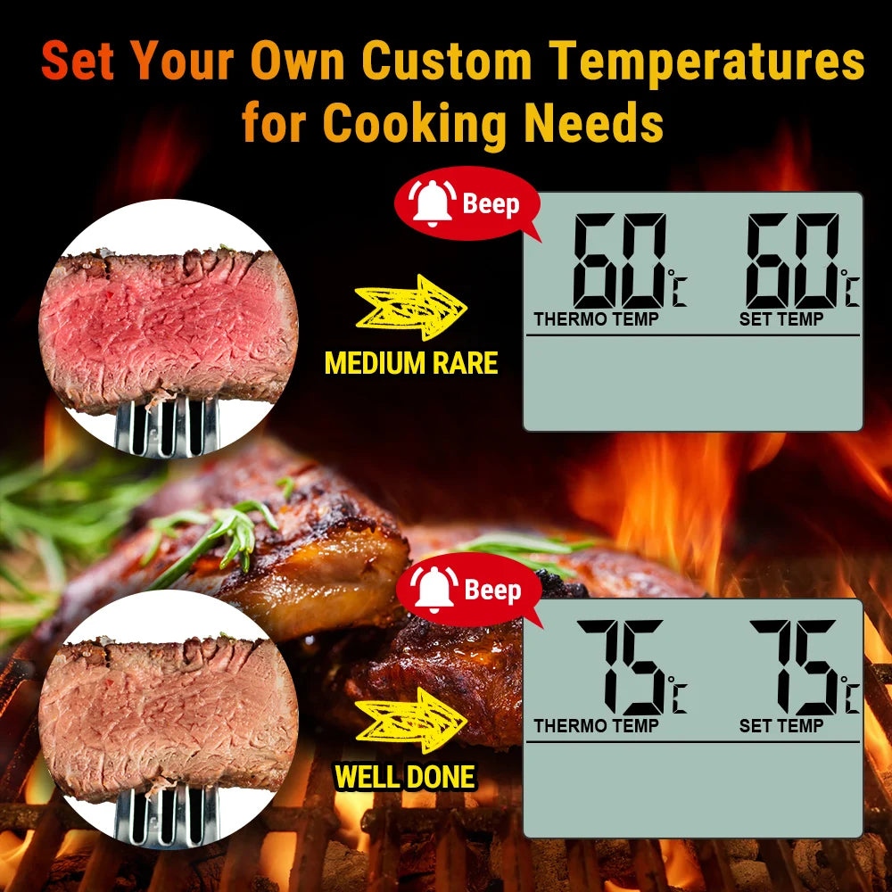 ThermoPro TP-16 Digital Thermometer For Oven Smoker Candy Liquid Kitchen Cooking Grilling Meat BBQ Thermometer and Timer