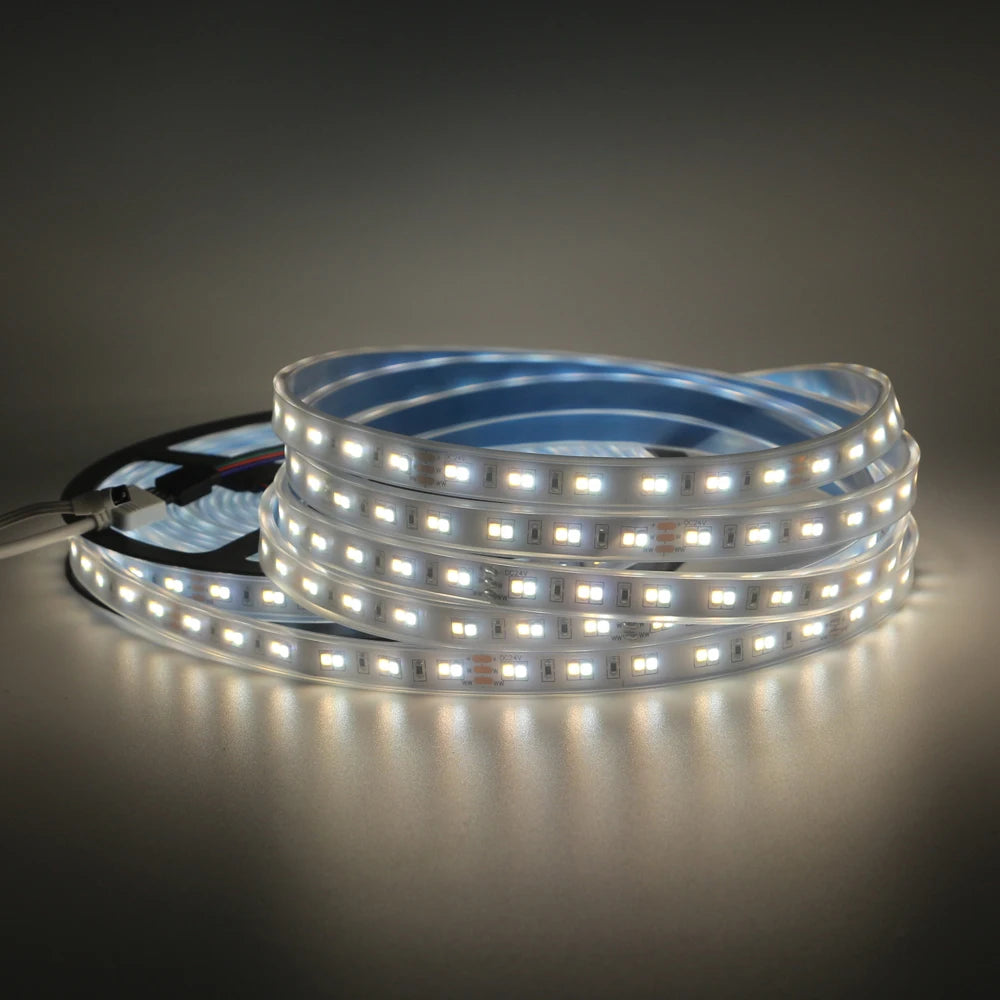 1m 5m 10m 3528 2835 CW/WW Dual White Color Temperature Adjustable CCT 24V Double Color LED Flexible Strip 120leds/m Tape Light