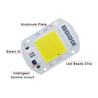 COB LED Lamp Chip AC 220V LED Bulb 10W 20W 30W 50W IP65 High Power Smart IC DIY Flood light Bulb Spotlight Outdoor Chip Lamp