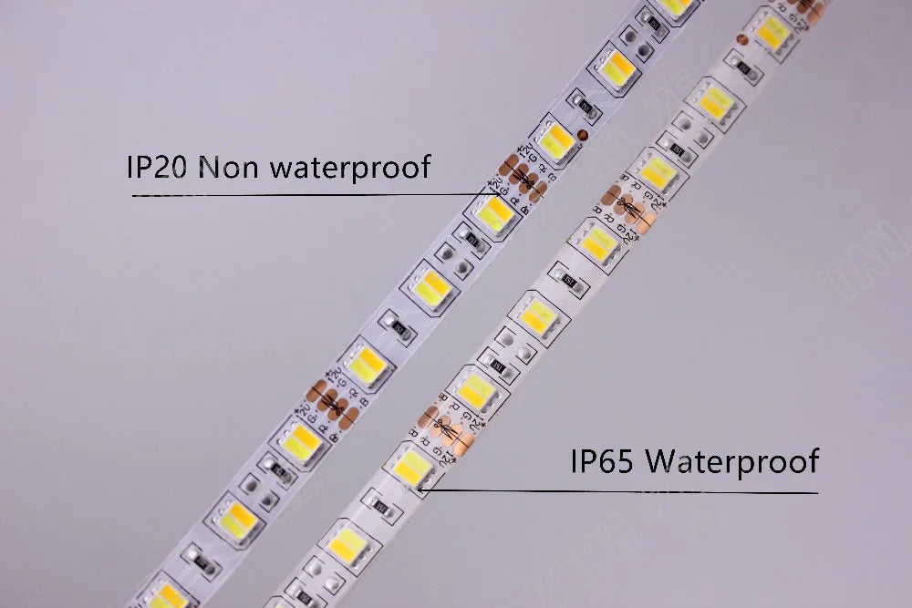 SMD 5050 RGB LED Strip Waterproof 5M 300LED DC 12V 24V CCT RGBCCT  RGBW RGBWW WHITE WARM WHITE NW Fita LED Light Strips Flexible