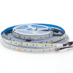 1m 5m 10m 3528 2835 CW/WW Dual White Color Temperature Adjustable CCT 24V Double Color LED Flexible Strip 120leds/m Tape Light