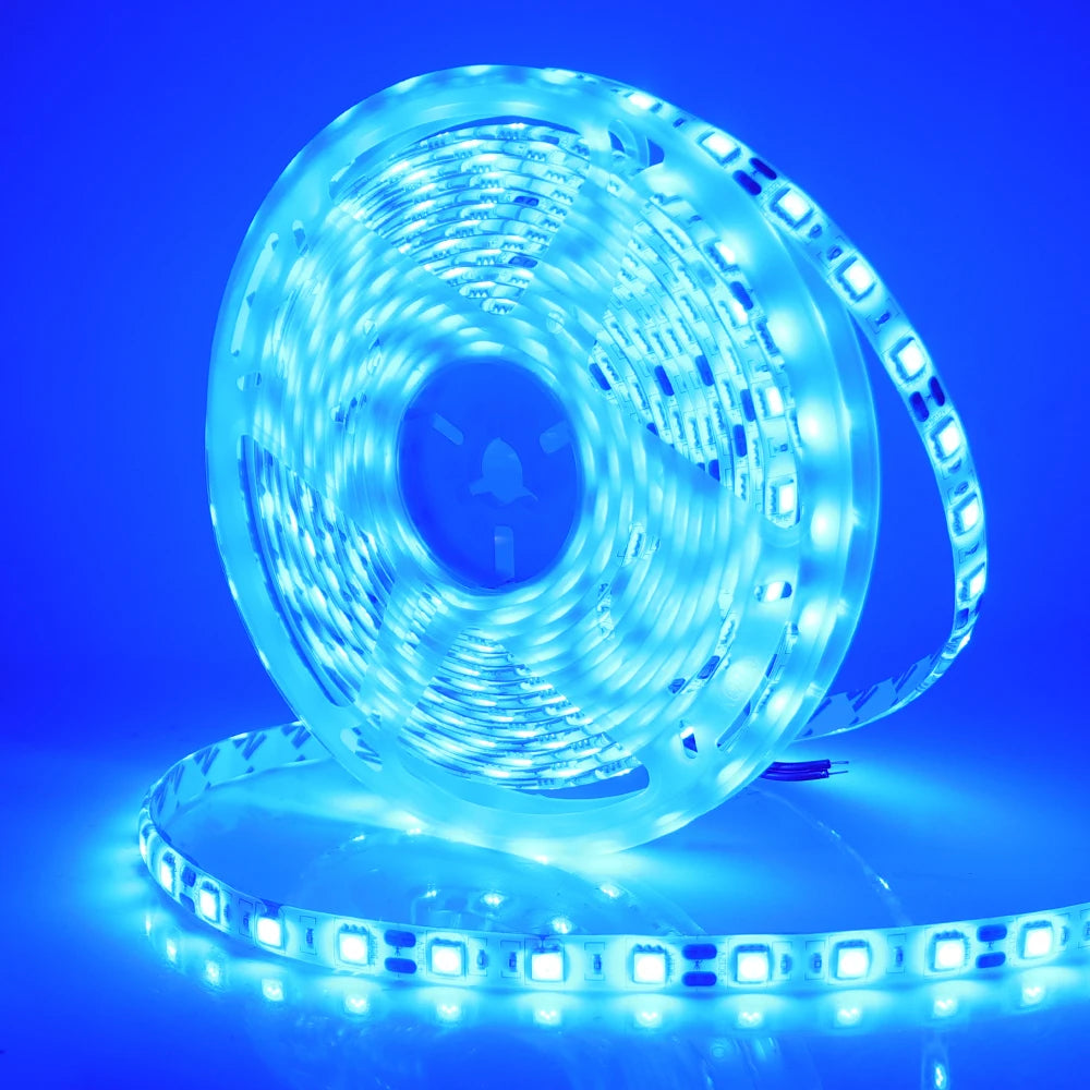 LED Strip 5050 RGB CCT RGBCCT RGB White Lights 12V 24V Waterproof 5M 300LED Blue Warm White LED Tape Lights Flexible