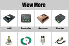 Wholesale RSK1001 RSK2001 RSK5001 RSK6001 Varistor Surge Absorber for Generator Rectifier