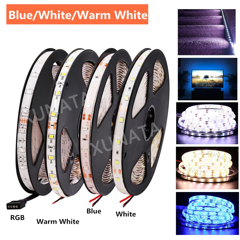 RGB LED Strip DC 12V 60LEDs/m SMD 2835 Waterproof IP21 IP65 Indoor Lighting Flexible Tape LED Light Lamp 5m