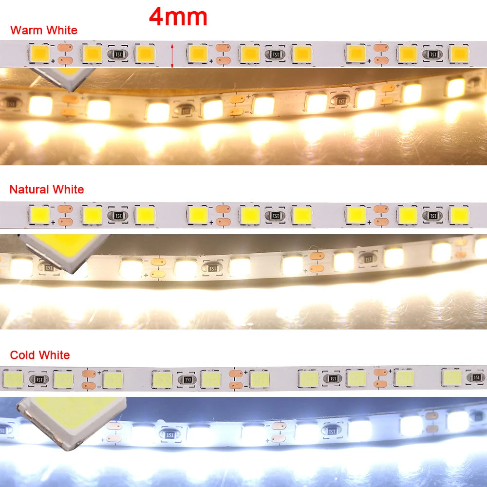 12V LED Strip Light 2835 SMD 4mm Super Bright 120LED/m 5M 600 Pixel Flexible LED Tape Lights Natural White/Warm White/Cold White