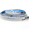 1m 5m 10m 3528 2835 CW/WW Dual White Color Temperature Adjustable CCT 24V Double Color LED Flexible Strip 120leds/m Tape Light