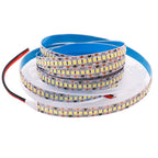 5M LED Strip Light DC 12V 24V 2835 Flexible Ribbon Diode Light 60/120/240/480 LED Stripe Warm Natural Cold White Luces Led Tape