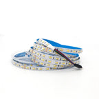 1m 5m 10m 3528 2835 CW/WW Dual White Color Temperature Adjustable CCT 24V Double Color LED Flexible Strip 120leds/m Tape Light
