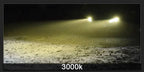 2Pcs LED H11 H8 Led Bulb Car Fog Light H4 Led Bulb H7 H9 H10 H1 9005 HB3 9006 HB4 6000K Lights 12000Lm Auto Fog Lamp 3000K
