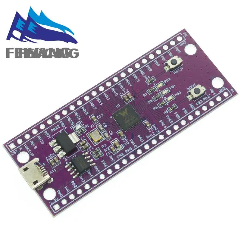 W806 Microcontroller 240MHZ 5-8Bit STM32 Development Board CH340 IoT MCU Chip CDK Development Environment Low Power IOT