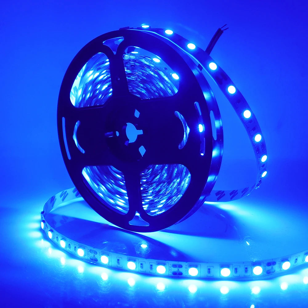 LED Strip 5050 RGB CCT RGBCCT RGB White Lights 12V 24V Waterproof 5M 300LED Blue Warm White LED Tape Lights Flexible