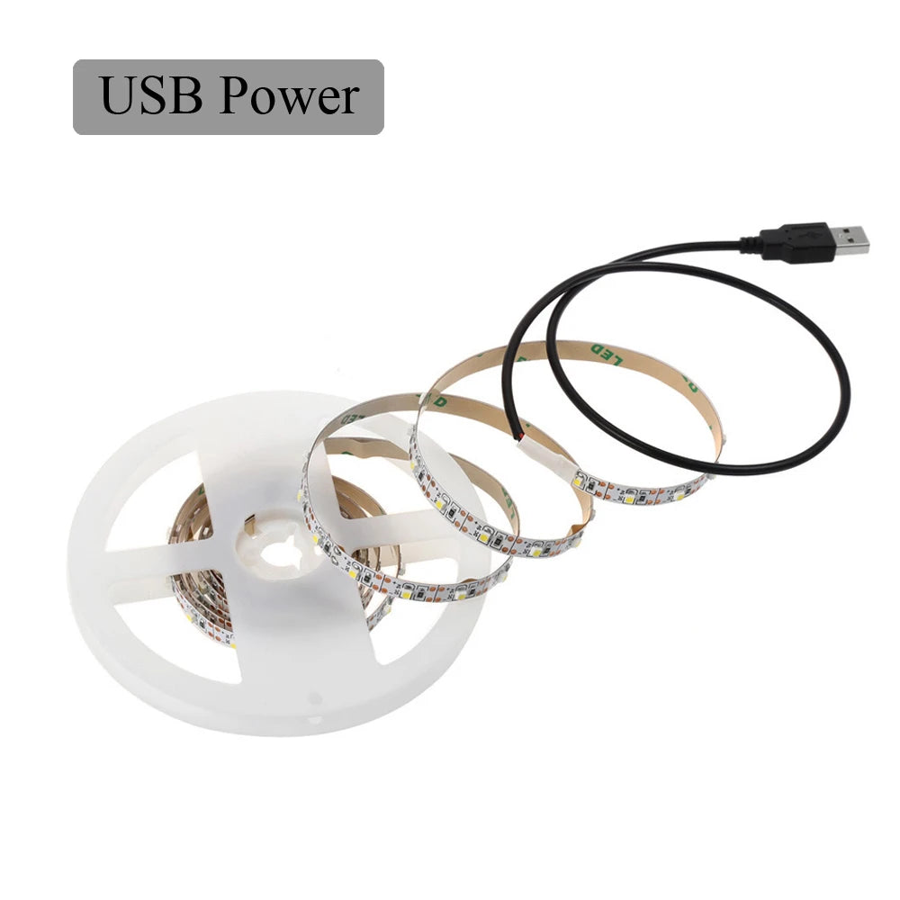 5V USB LED Strip Light Battery Power SMD 2835 3528 60LED 1m 2m 5m White Warm Red Blue Green Ribbon Cabinet Lights Night DC5V