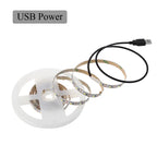 5V USB LED Strip Light Battery Power SMD 2835 3528 60LED 1m 2m 5m White Warm Red Blue Green Ribbon Cabinet Lights Night DC5V