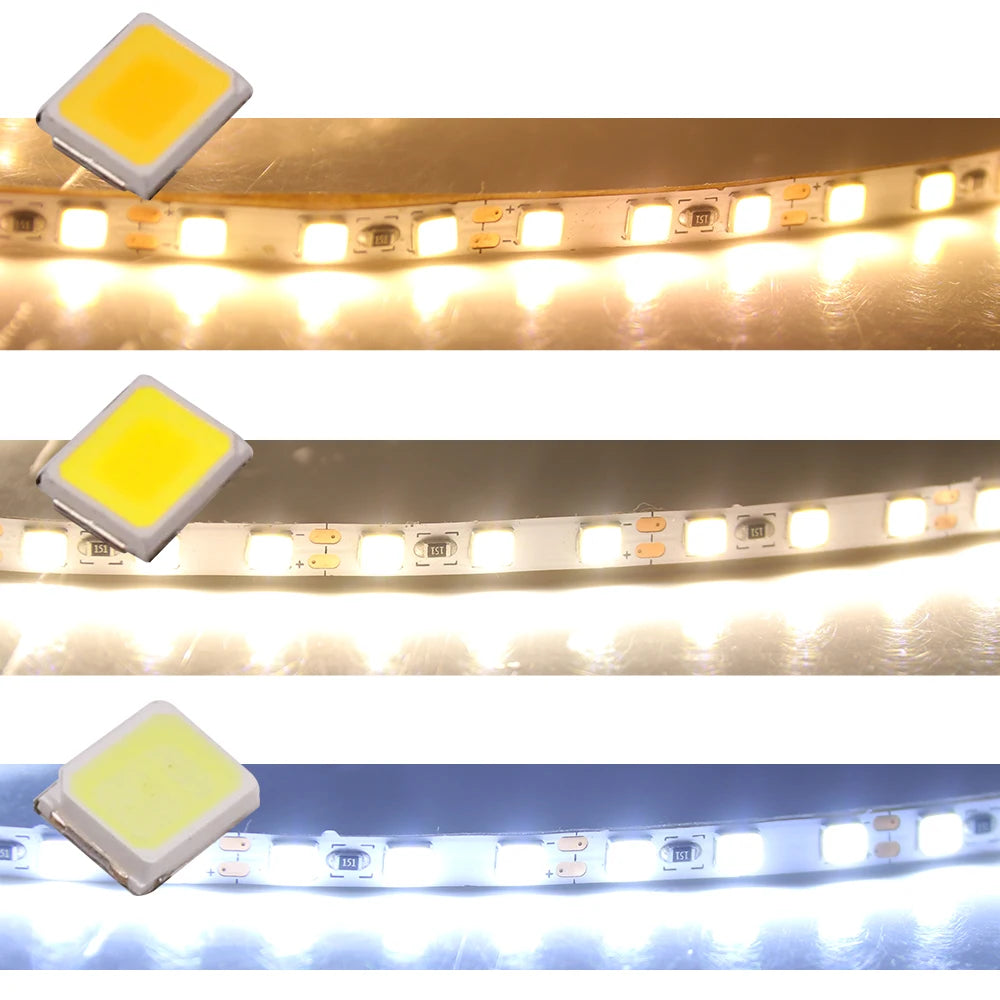 5M LED Strip Light DC 12V 24V 2835 Flexible Ribbon Diode Light 60/120/240/480 LED Stripe Warm Natural Cold White Luces Led Tape