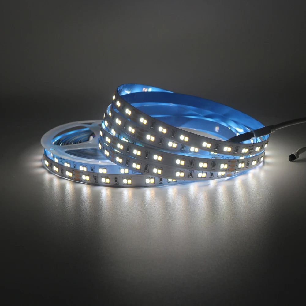 1m 5m 10m 3528 2835 CW/WW Dual White Color Temperature Adjustable CCT 24V Double Color LED Flexible Strip 120leds/m Tape Light
