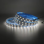 1m 5m 10m 3528 2835 CW/WW Dual White Color Temperature Adjustable CCT 24V Double Color LED Flexible Strip 120leds/m Tape Light