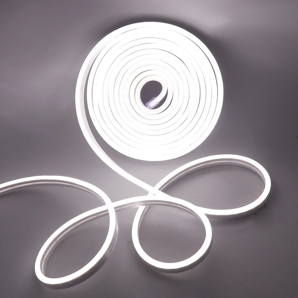 Neon Strip DC 12V IP65 Waterproof 2835 120Leds/M White/Blue/Pink/Yellow/Red/Green Flexible Ribbion Rope LED Strip 0.5M 1M 3M 5M