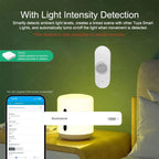 Zigbee /WIFI Human Presence PIR Motion Sensor Luminance Temperature Humidity Detector USB/Battery For Smart Life Tuya Z2M