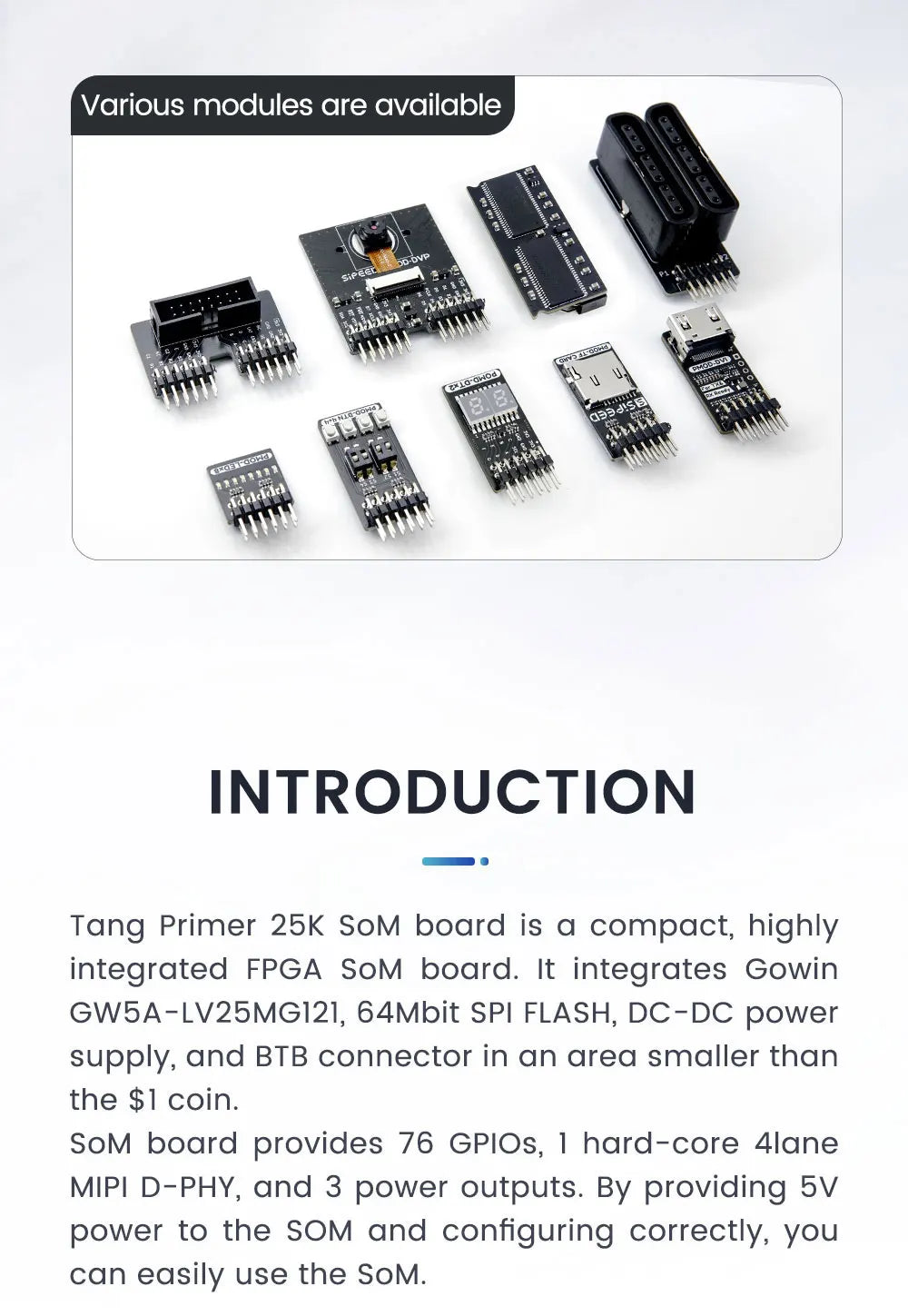 Sipeed Tang Primer 25K GOWIN  GW5A RISCV FPGA Development Board PMOD SDRAM