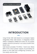 Sipeed Tang Primer 25K GOWIN  GW5A RISCV FPGA Development Board PMOD SDRAM