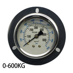 Industrial Pressure Monitoring Axial Edge Gauge Easy Installation Pressure Meter Barometer Seismic Pressure Meter