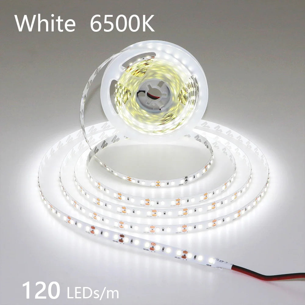 12V 24V LED Strip 2835 120LEDs/m Home Lamp Strip Pink Red Ice Blue Green Golden Yellow Orange Flexible Waterproof Soft Lamp Bar