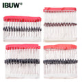 1N Series Rectifier/Schottky Diode Assortment Encapsulated Diode 1N4001 1N4007 45mil 1N4937 1N5399