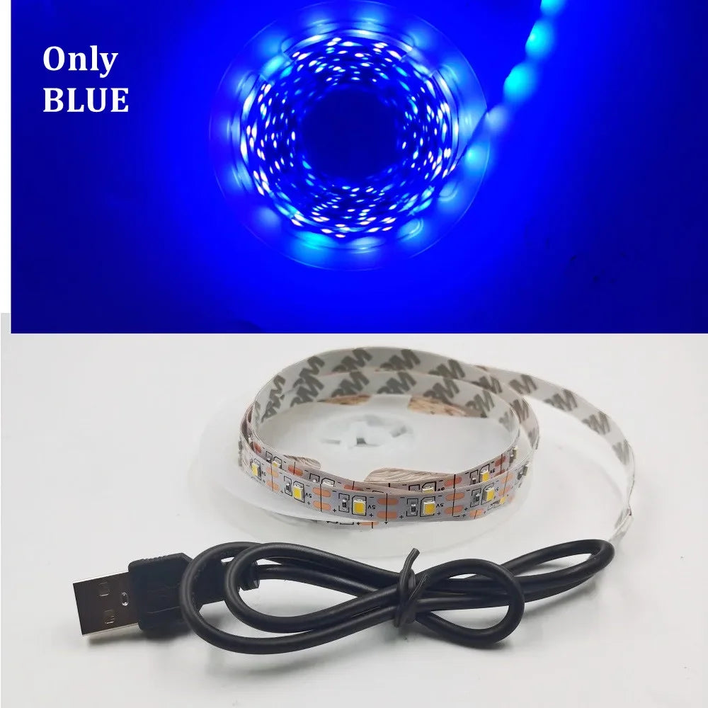 5M USB LED Strip Light 5V 3528 1 Meter 5 Meter Warm Cool White Pink Green Blue Red SMD Ribbon Ceiling Cabinet Light Waterproof
