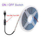 5V USB LED Strip Light Battery Power SMD 2835 3528 60LED 0.5m 1m 2m 5m Cold White Warm Blue Ribbon Cabinet Lights Night DC5V