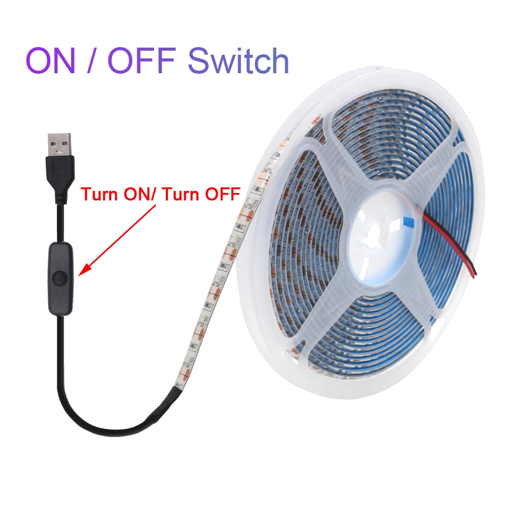 5V USB LED Strip Light Battery Power SMD 2835 3528 60LED 0.5m 1m 2m 5m Cold White Warm Blue Ribbon Cabinet Lights Night DC5V
