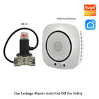 90-220Vac EU Plug WIFI Natural Gas Detector Tuya APP Push Message Coal Gas Sensor LPG Alarm NC/NO Relay Shut Off DN10/15 Valve