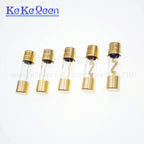 AGU 5AU FUSE 32V 10*38mm 10A 15A 20A 25A 30A 40A 50A 60A 70A 80A 100A Gold Plated Glass Car Audio Fuse