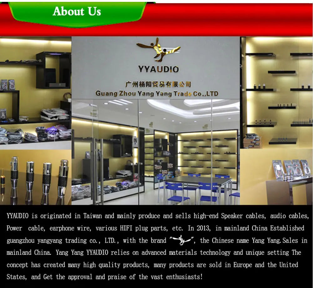 YYAUDIO HiFi Audio Noise AC Power Filter Power Conditioner Power Purifier Surge Protection with EU Outlets Power Strip