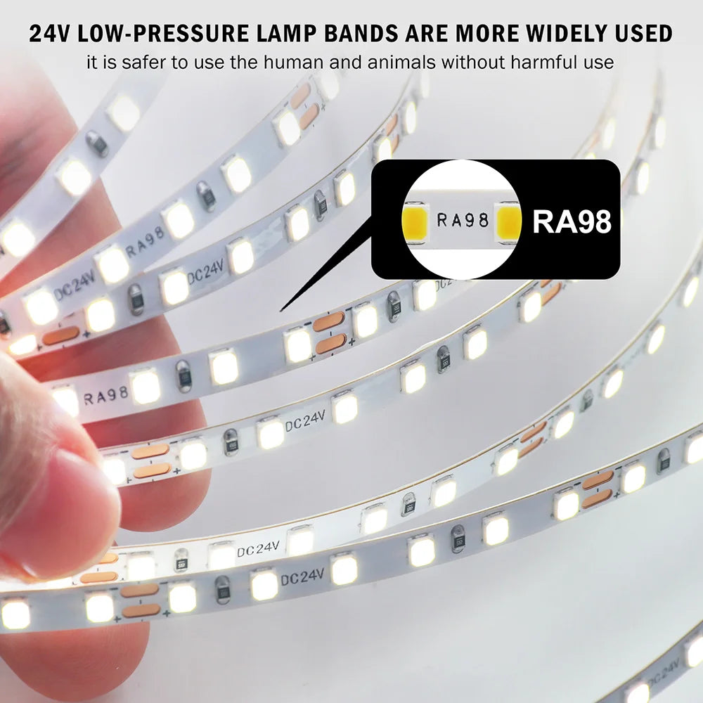5mm 8mm Led Strip Light RA98 10mm PCB 2700K 3000K 3500K 4000K 5000K 6000K 5m 10m 24V 2835 120 240 LEDs Flexible Tape Lighting
