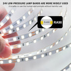 5mm 8mm Led Strip Light RA98 10mm PCB 2700K 3000K 3500K 4000K 5000K 6000K 5m 10m 24V 2835 120 240 LEDs Flexible Tape Lighting