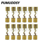 1PCS Gold Plated Glass AGU Fuse Fuses Pack Car Audio Amp Amplifier 10A 15A 20A 25A 30A 40A 50A 60A 70A 80A 100A Car Fuse 10*38MM